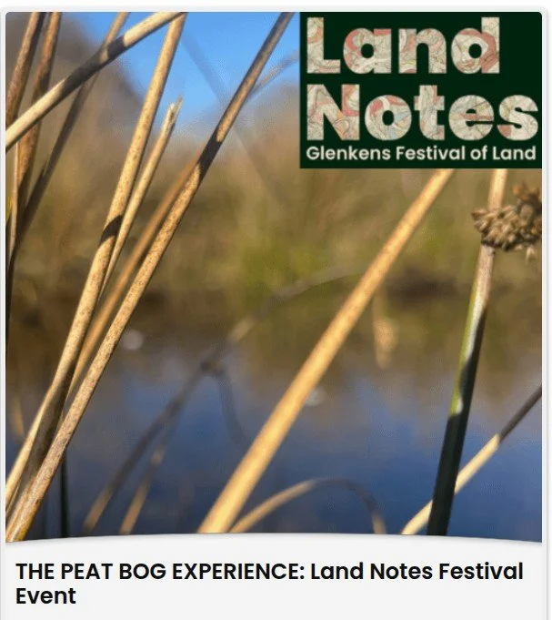 The Peat Bog Experience