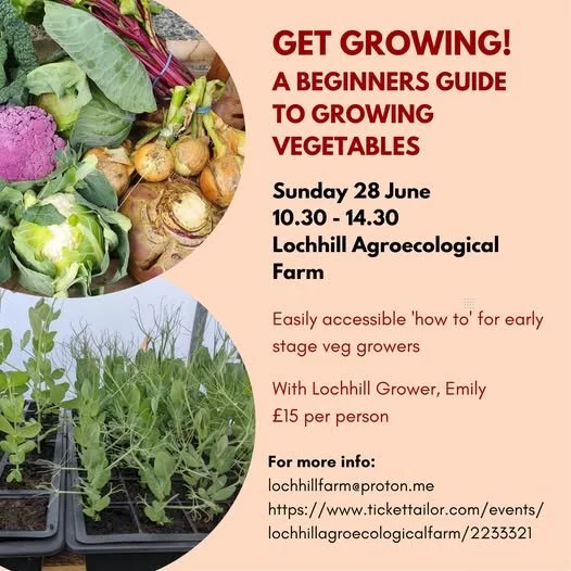 Get Growing! A beginners guide to growing vegetables