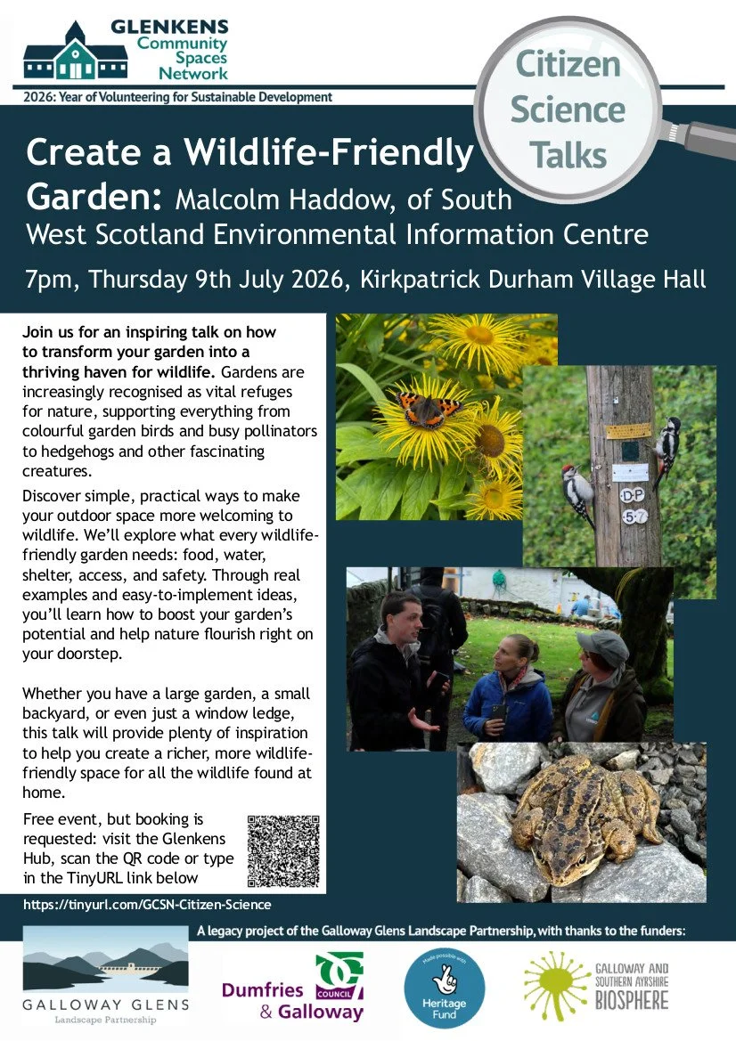 Create a Wildlife-Friendly Garden