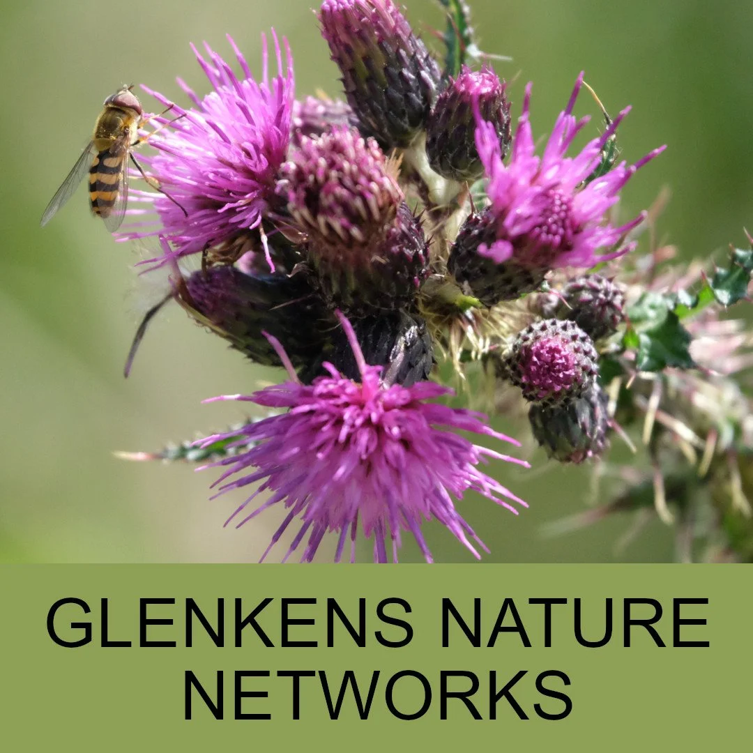 Citizen Science Event