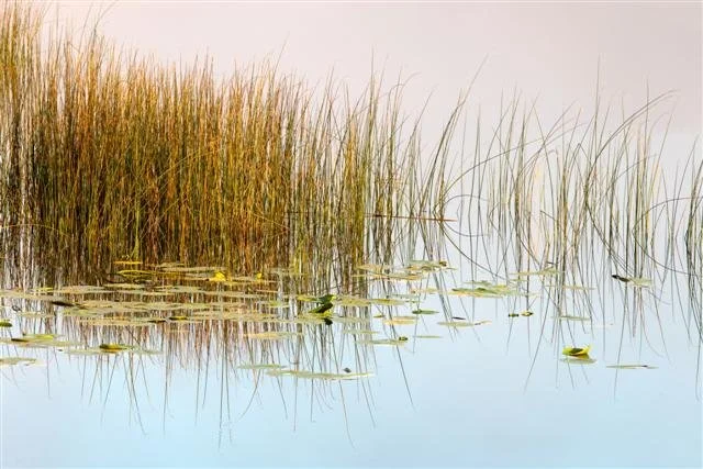 Phil McMenemy Photography