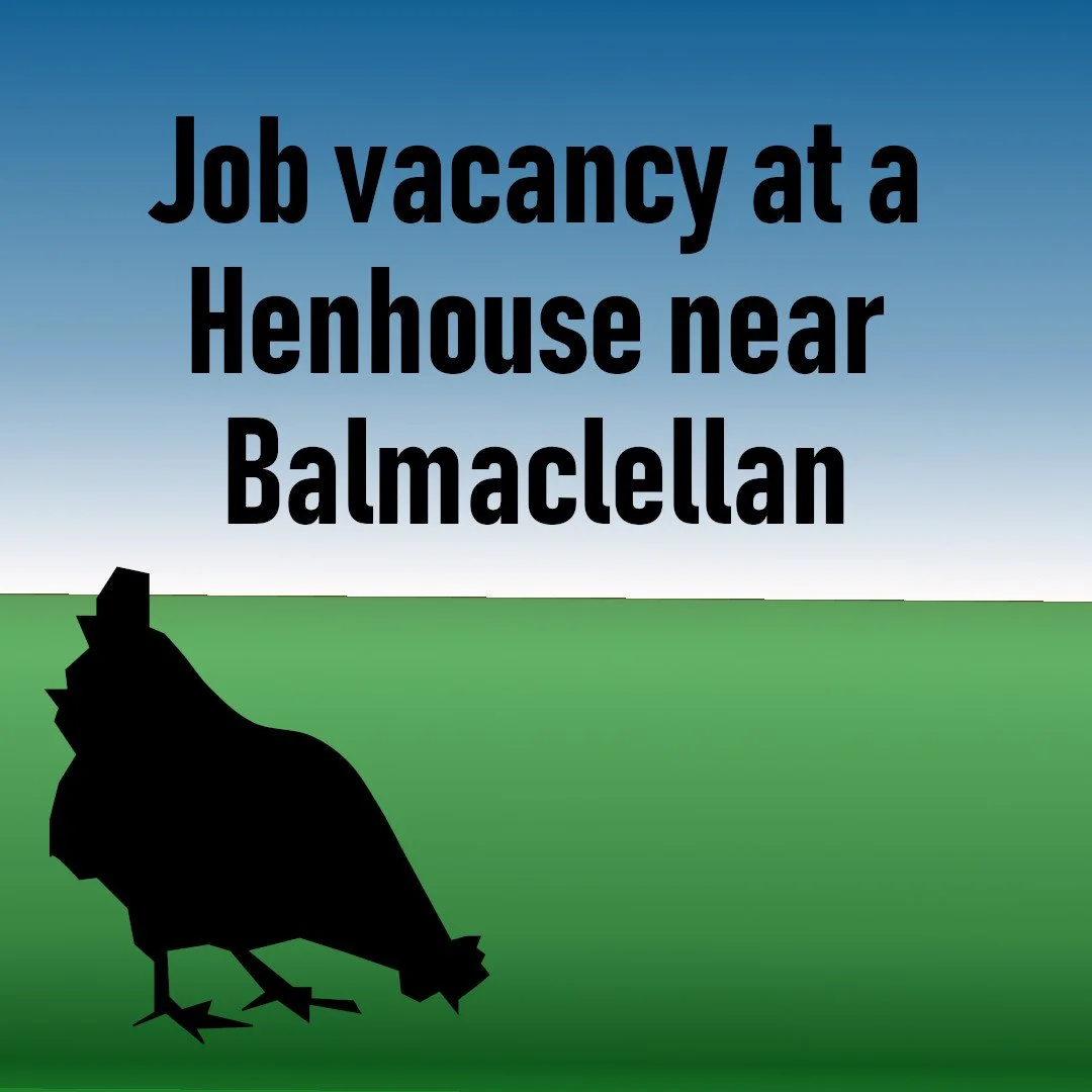 Job vacancy at Henhouse near Balmaclellan