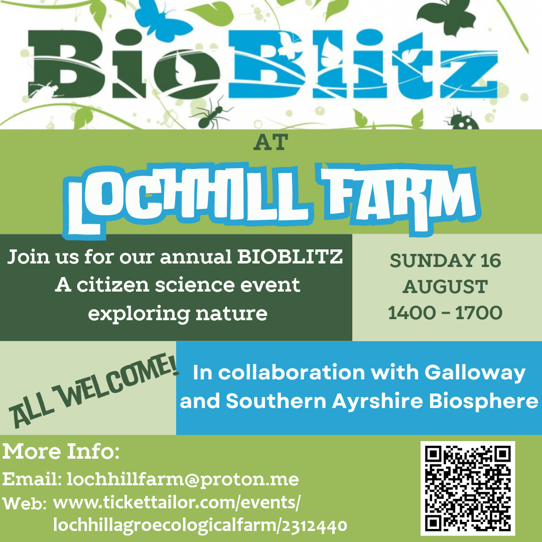 Bioblitz at Lochhill Farm