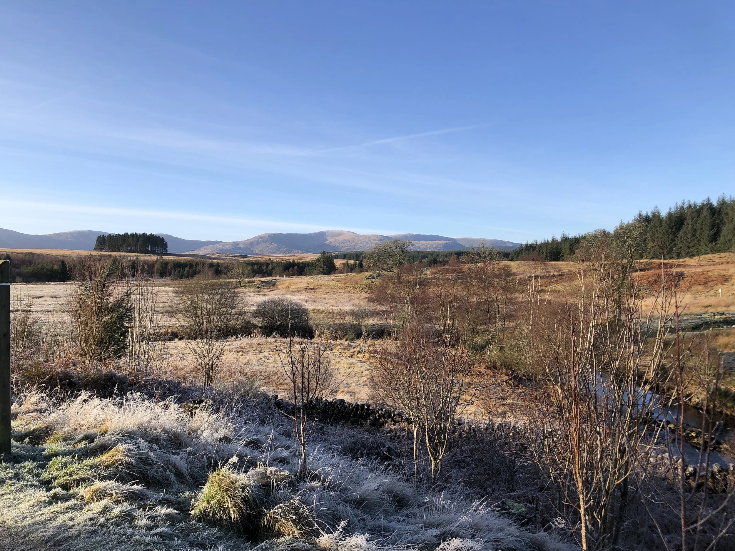 Polmaddy - 30/12/25 W