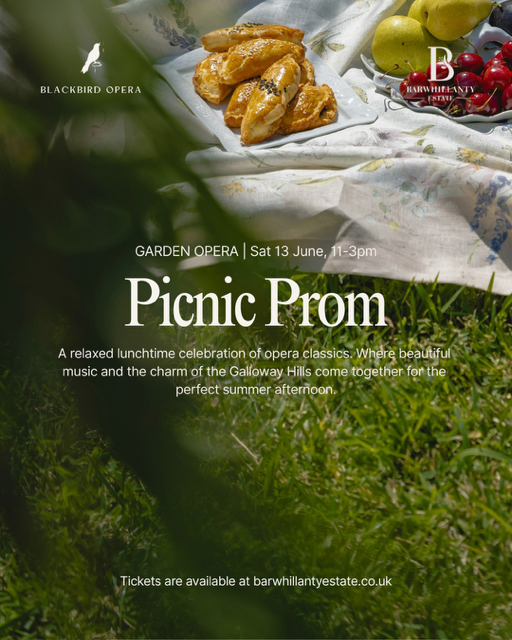 Summer Picnic Prom