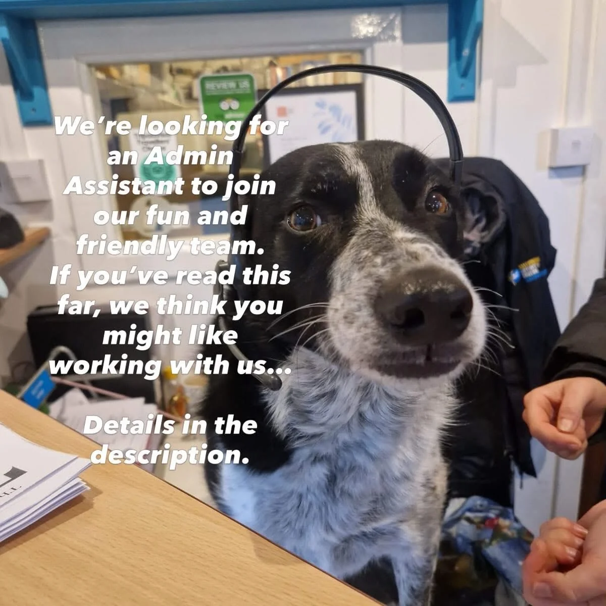 Admin Assistant