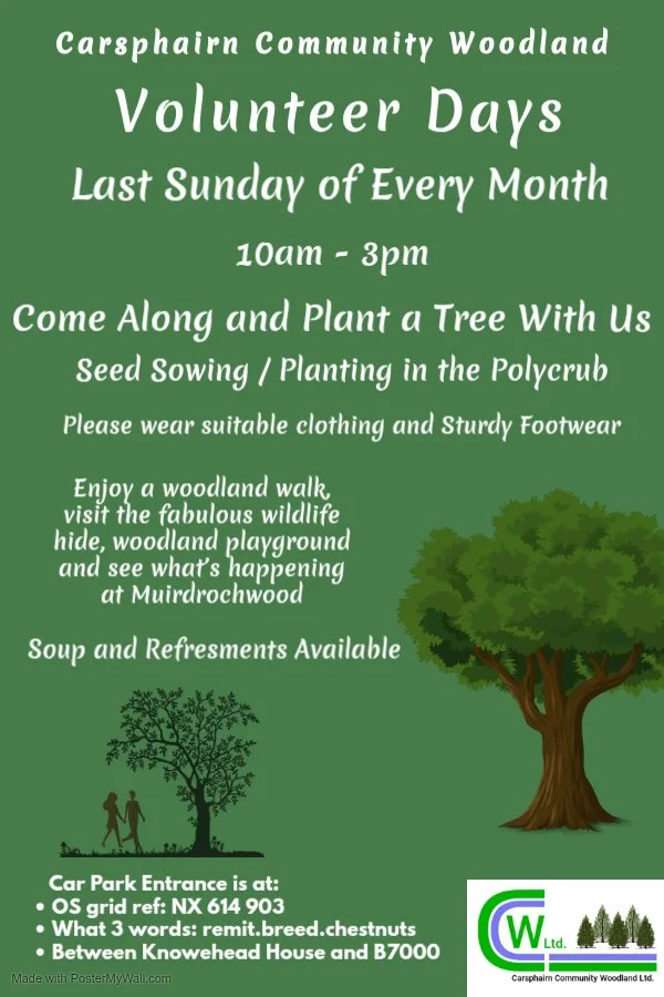 Carsphairn Community Woodland Volunteer Day