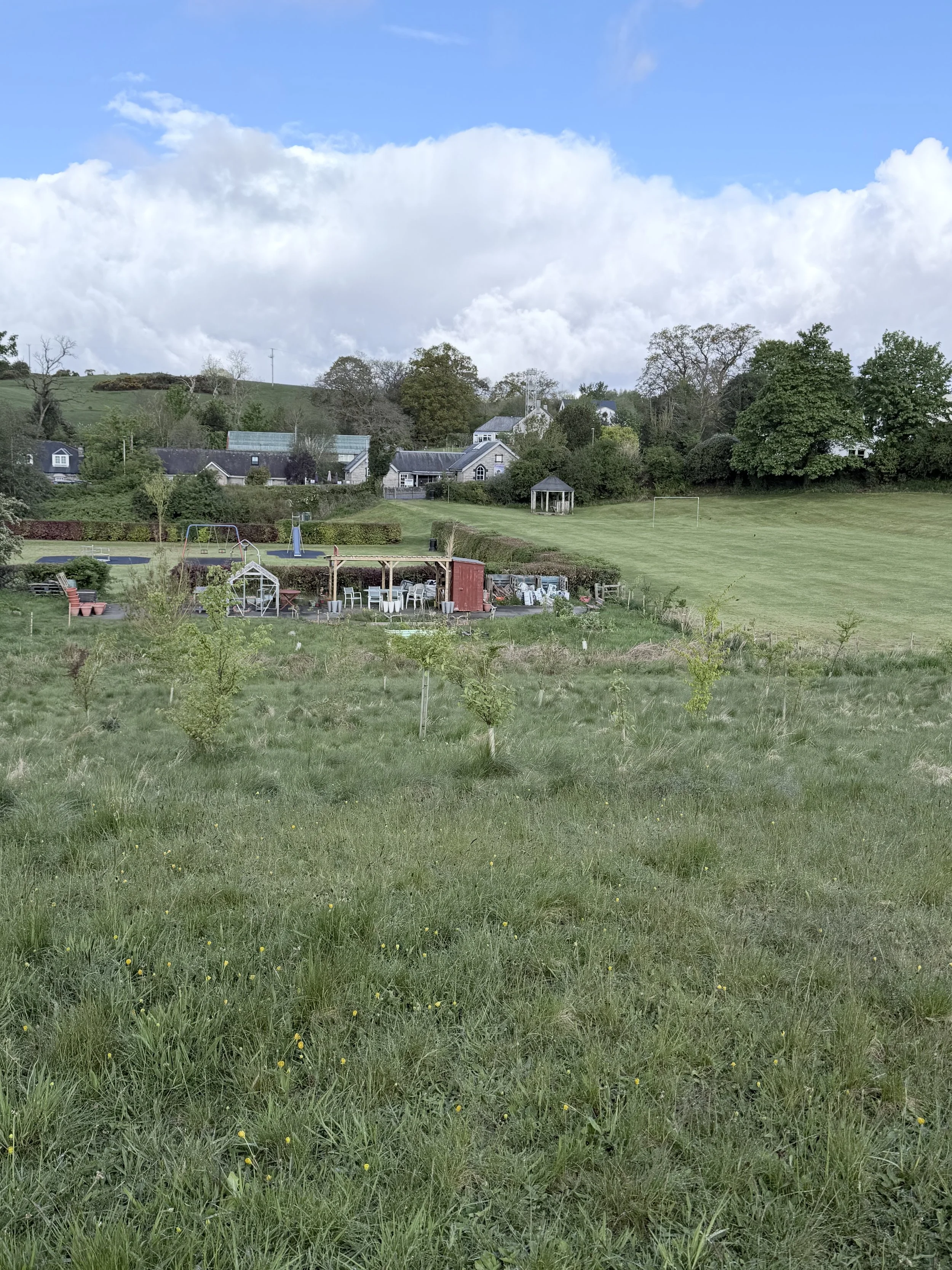 New Galloway Community Garden Hilltop