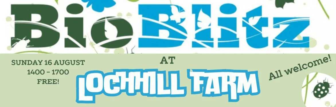Lochhill Farm Bioblitz 2026