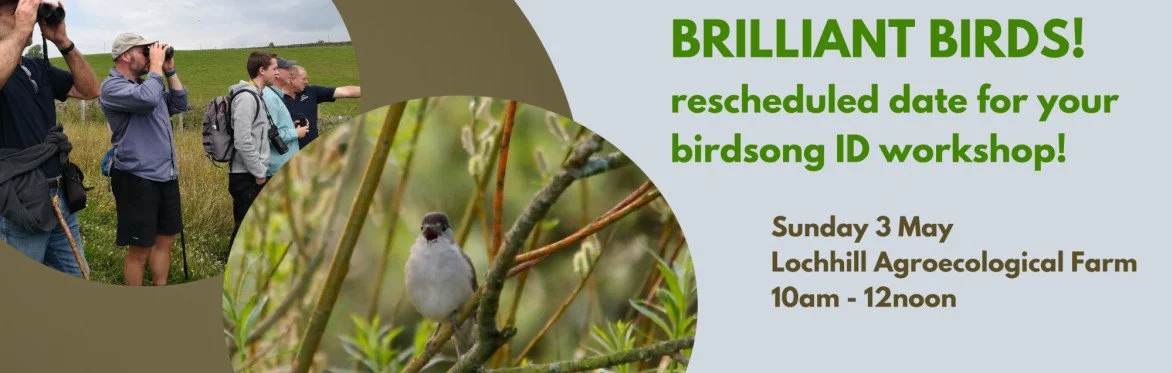 Brilliant Birds - A birdsong ID workshop 