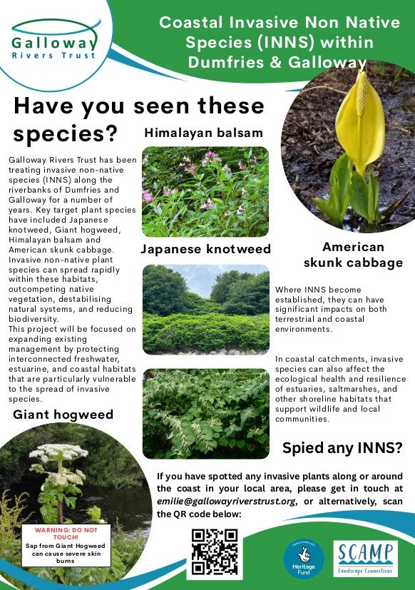 The Solway Coast needs your help!
