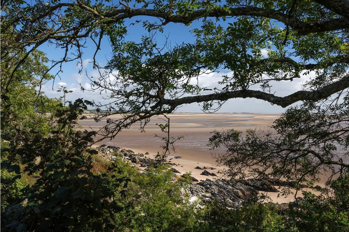 Coastal Woodlands Project Development – Contract Opportunity
