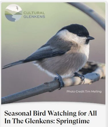 Seasonal Bird Watching for All In The Glenkens: Springtime
