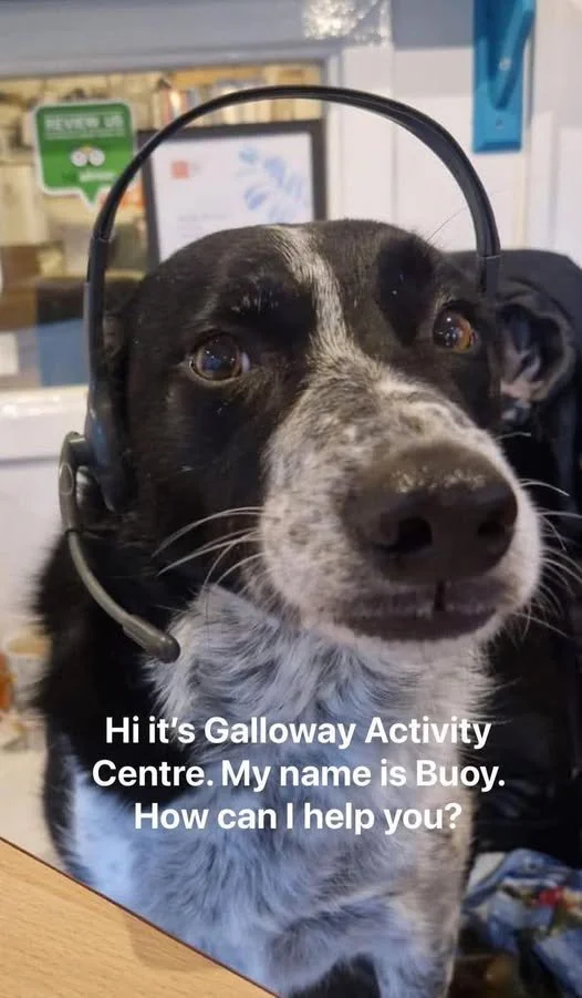 Office dog seeks new office human (Receptionist at GAC)