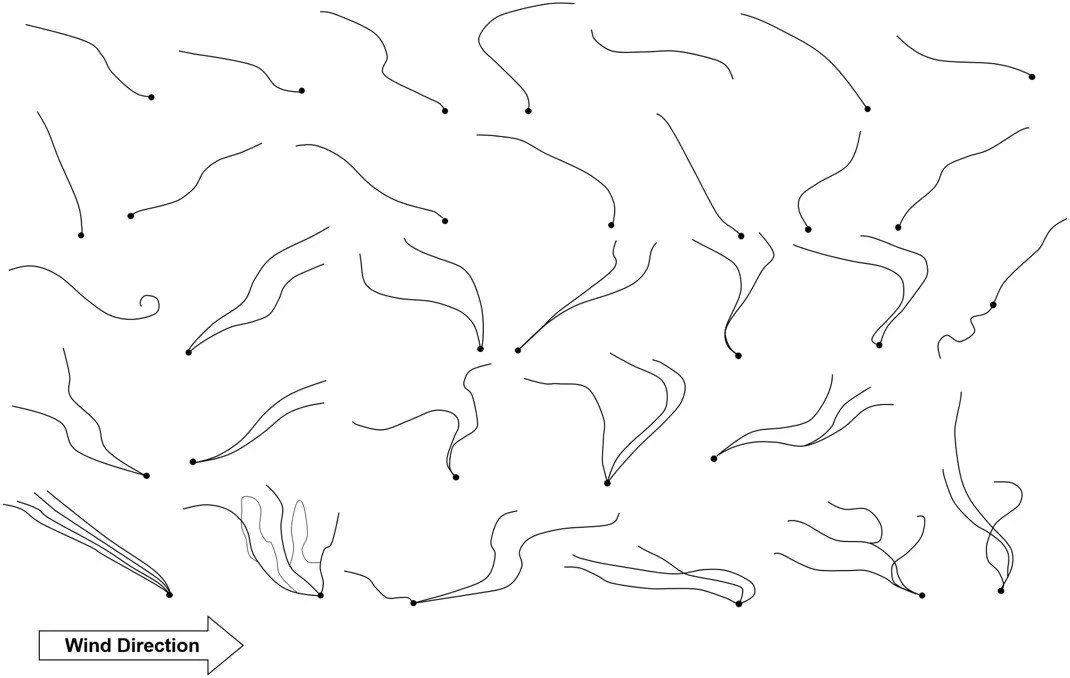 Wonders of Wind