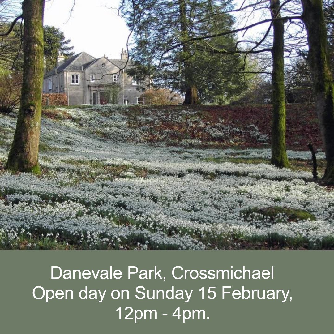 Danevale Park Open Day