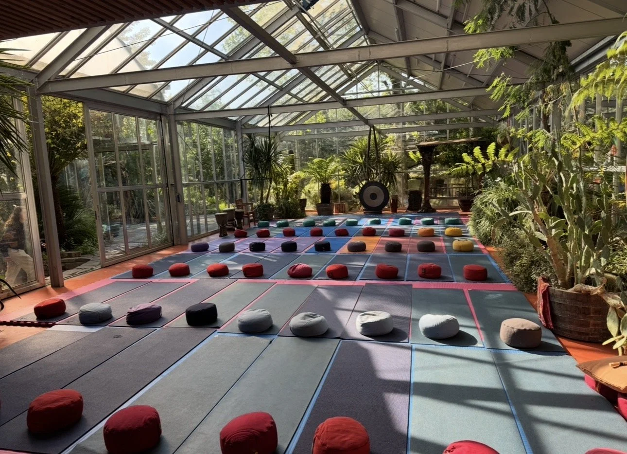 La maison de Wim Hof aux Pays-Bas : mes origines et mon inspiration