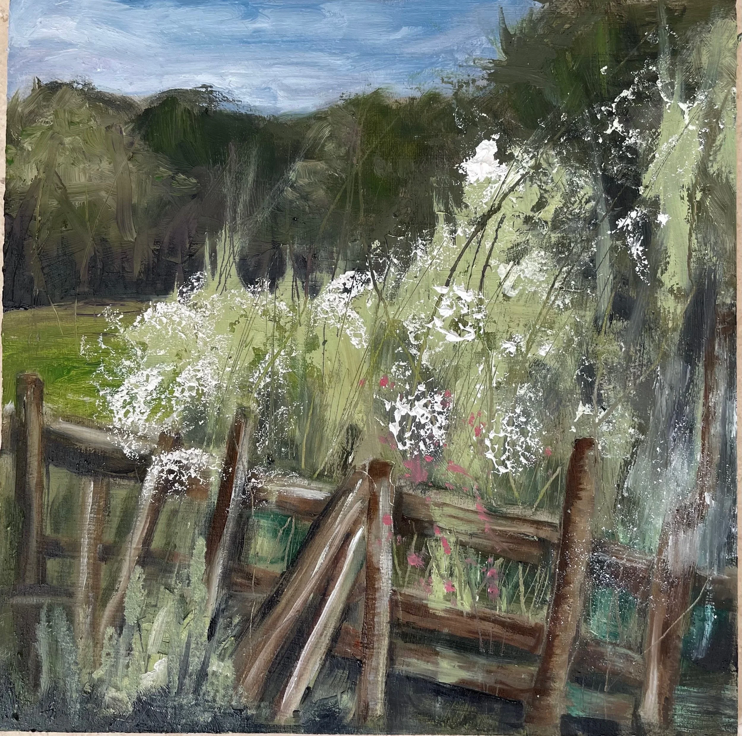 COW PARSLEY  oil on board 20x20cms