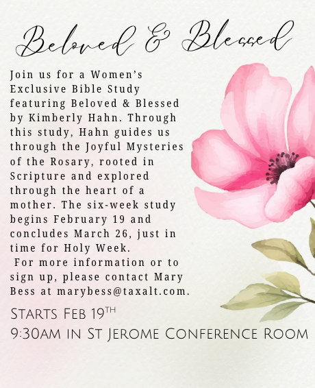 Beloved &amp; Blessed Bible Study 