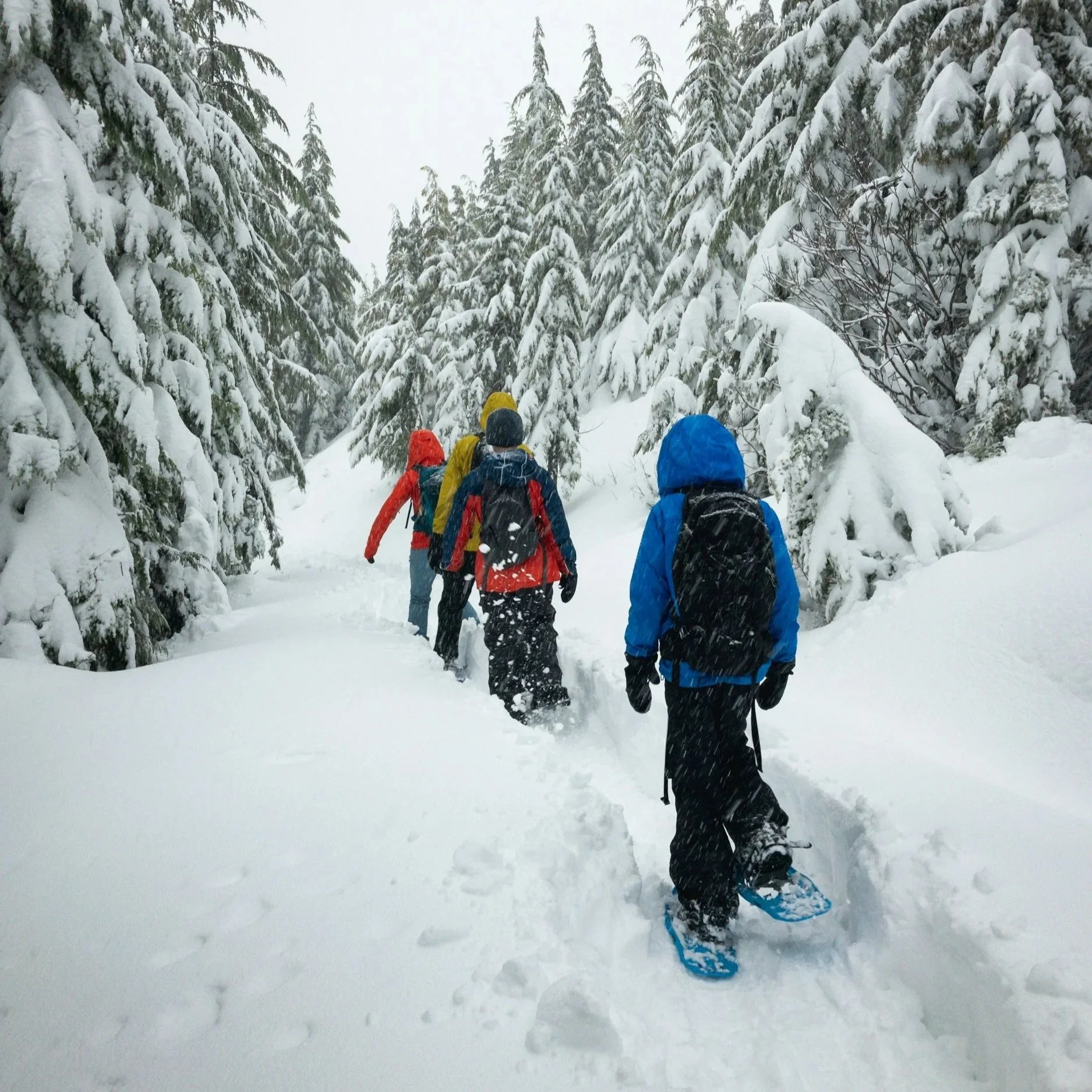 On Campus Snowshoeing