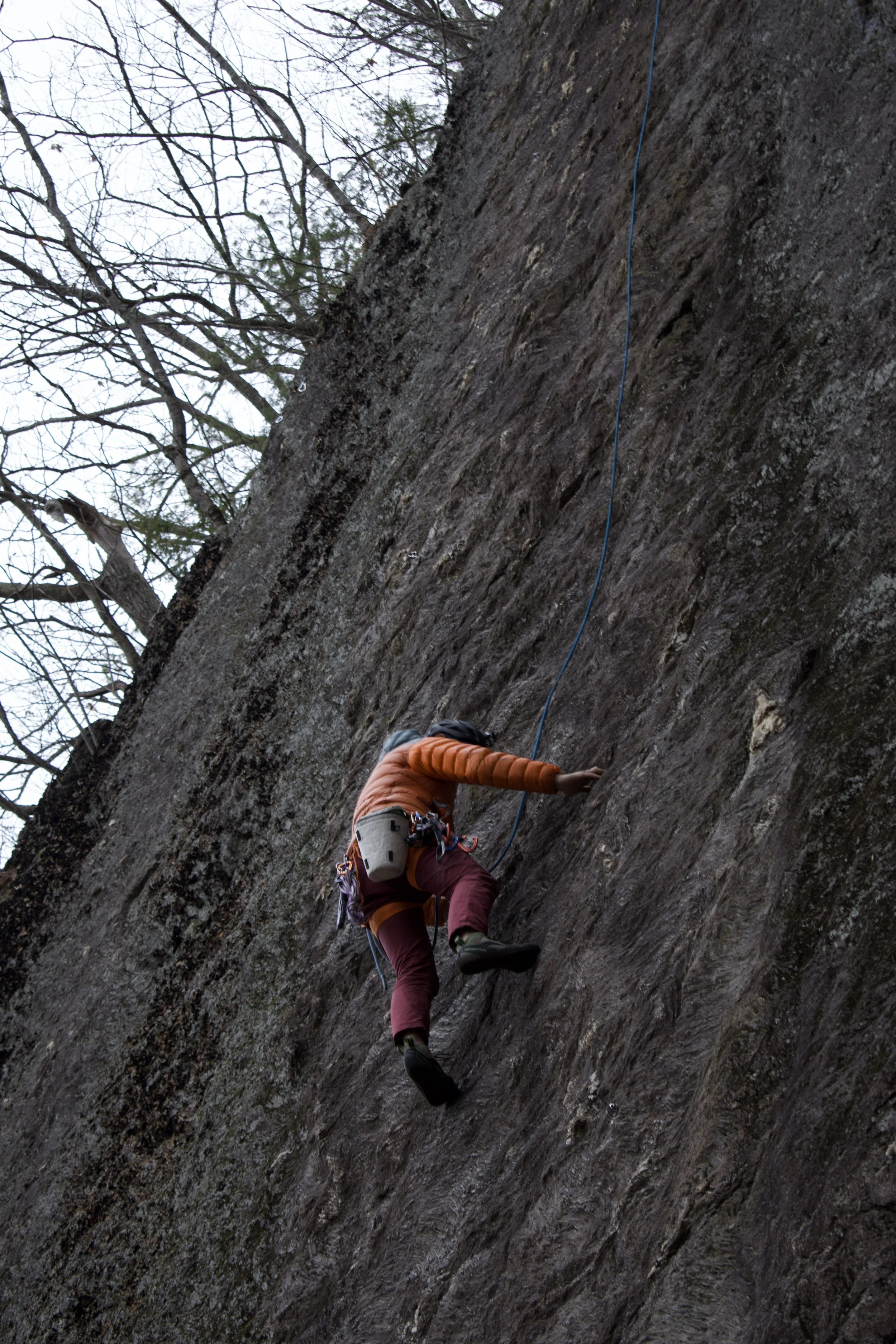 DSC_0658.jpeg