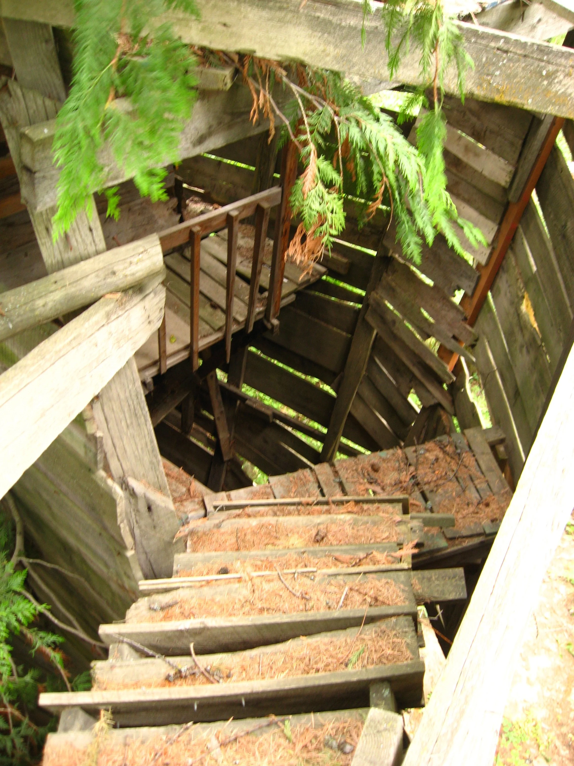 PIMG1326_052.jpg