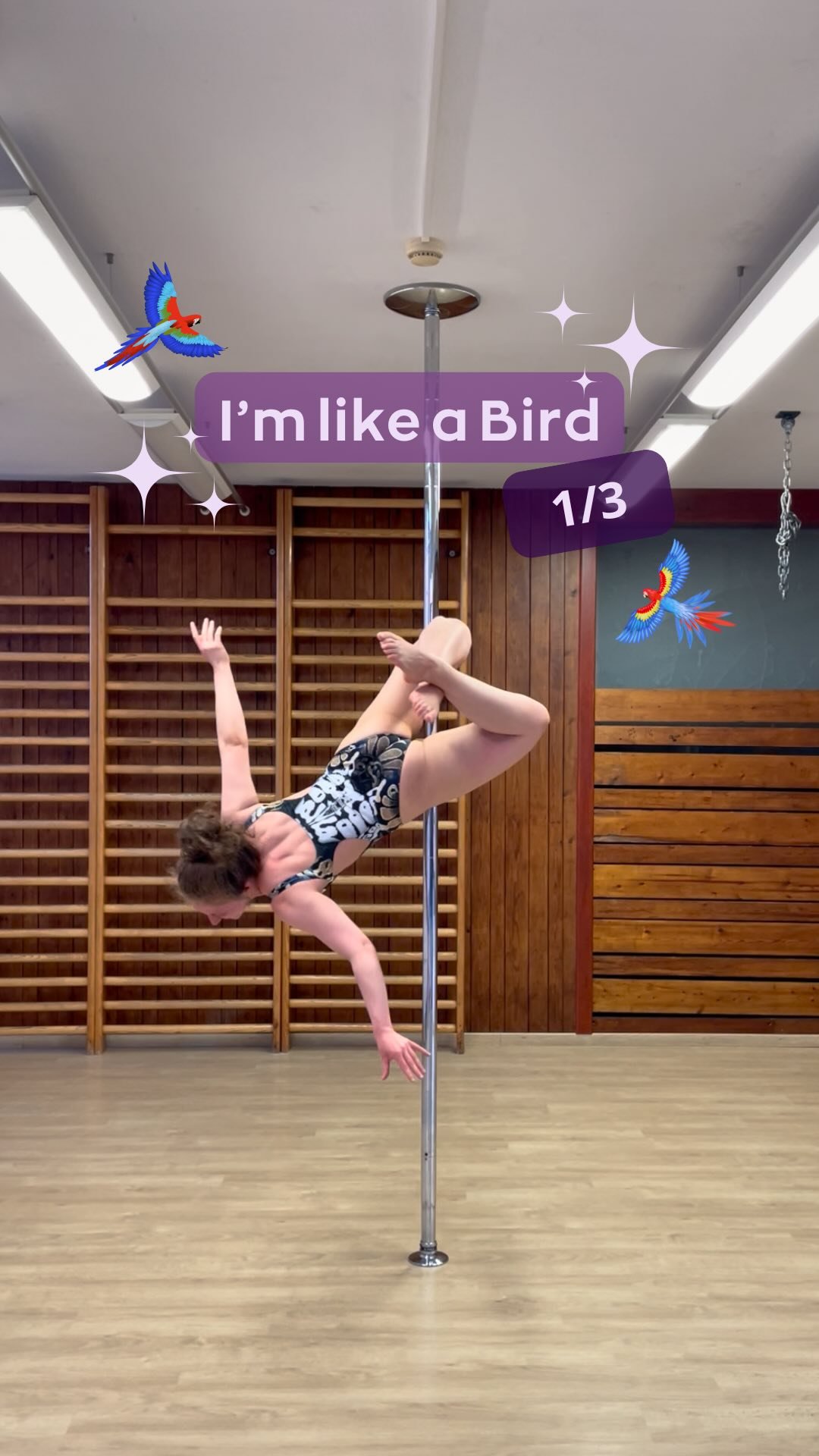 🦜✨ La pole prend son envol !
On se retrouve pour une nouvelle série thématique : les figures aux noms d’OISEAUX ! 🦩🦚🦜🕊️🐦‍⬛
Voici une première sélection parmi la multitude de possibilités 🤩
Dis-nou