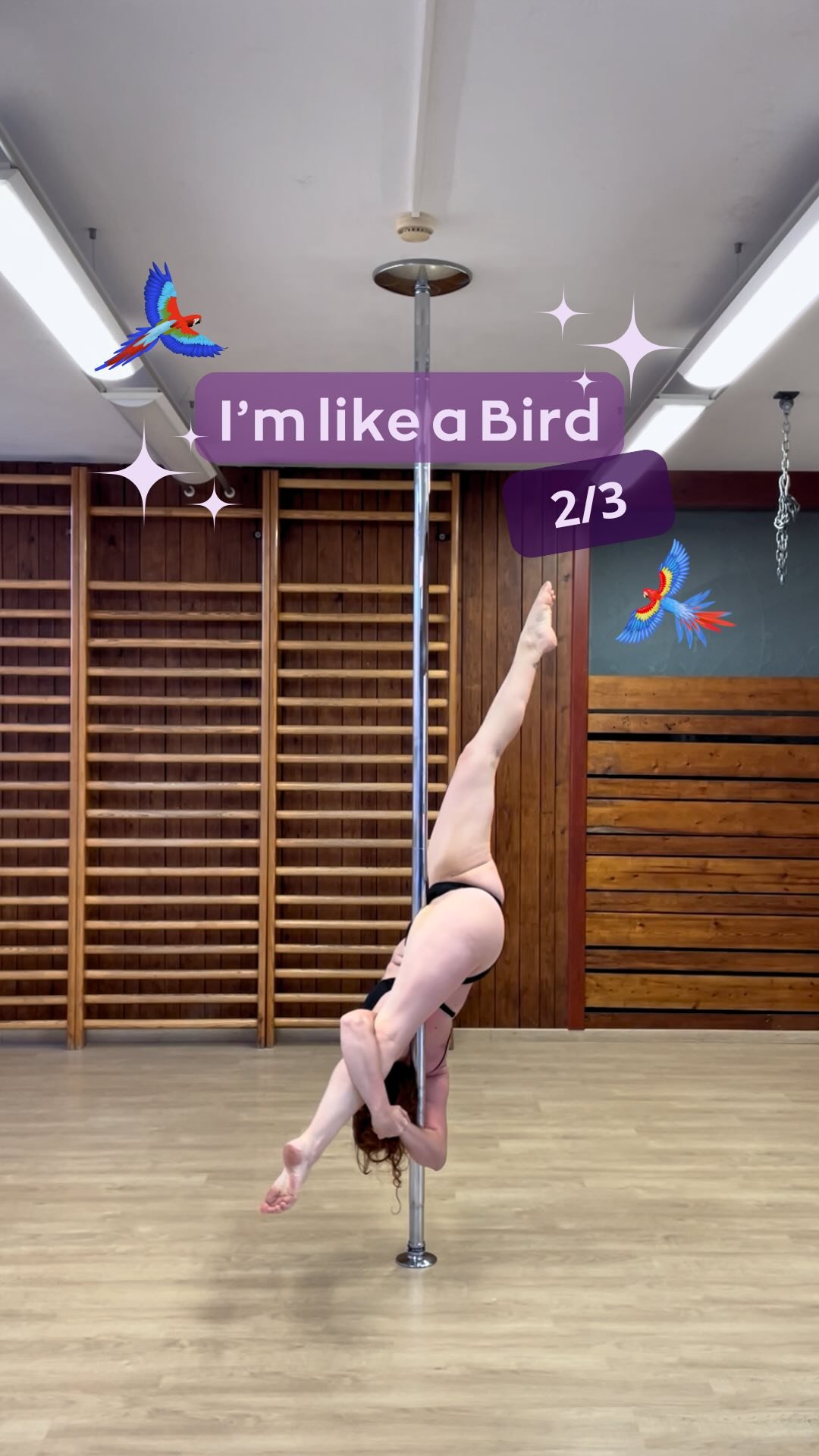 🦜✨ La pole prend son envol !
Deuxième partie de cette série sur les oiseaux 🦚🦩🐦‍⬛🦜🕊️ De quoi se sentir pousser des ailes 😏
Quelle figure t’inspire le plus ? 🤔👇🏻
@belgium.poledance
#poledance #poledancebird #pdf