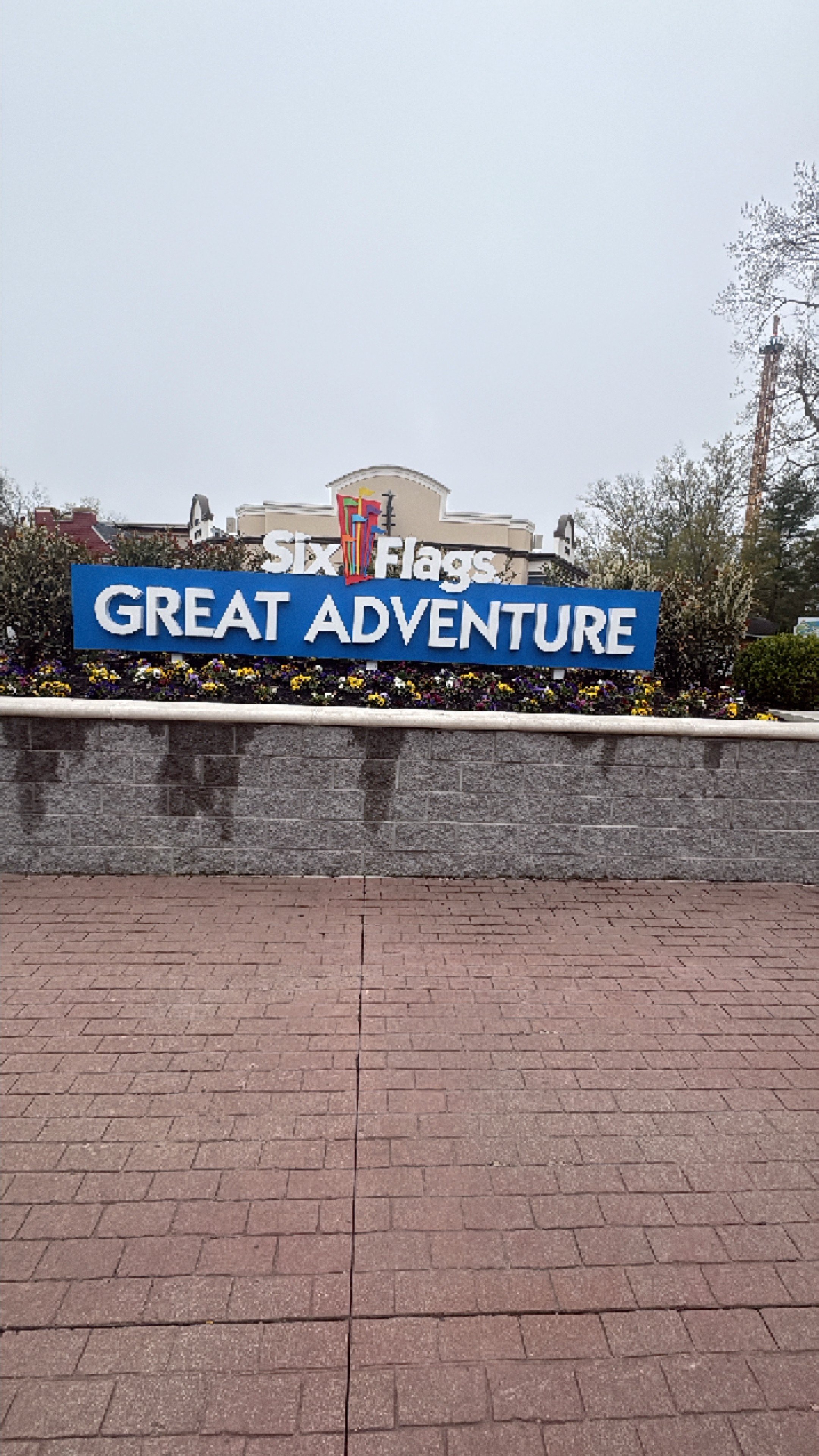 IMG1646847699093060386.jpg