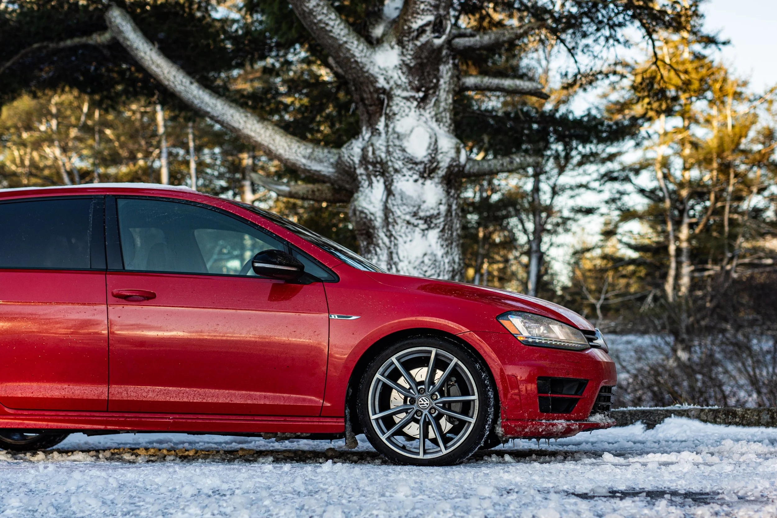 220103_DT0001-2 copy.jpg