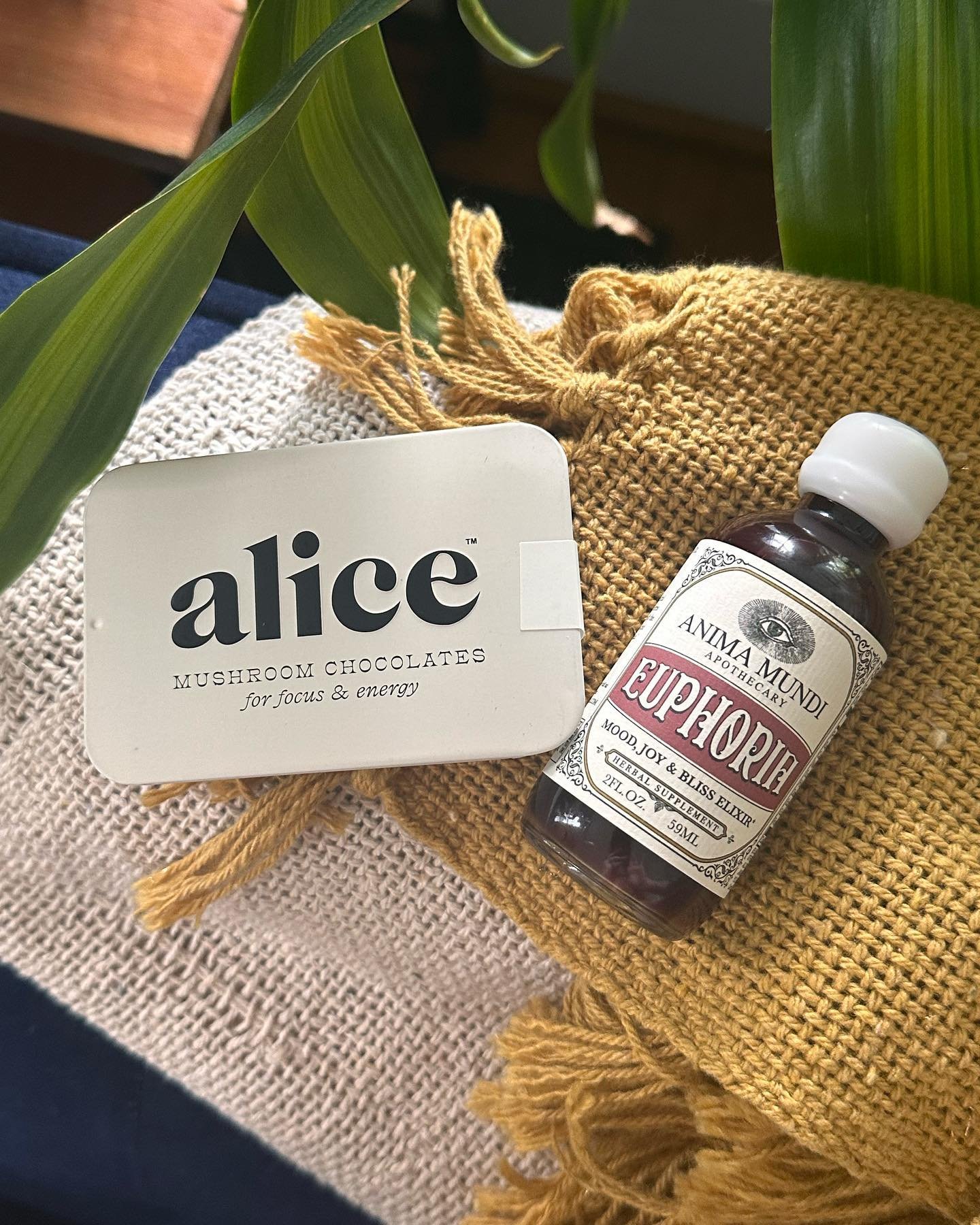 🌞Morning &amp; Evening 🌙 

Featuring two of our favorite women-owned businesses! @alice.mushrooms &amp; @animamundiherbals 

🍄☕️Brainstorm Mushroom Chocolates &amp; Euphoria Elixir are the perfect duo for a balanced energy &amp; focus. Add one (or