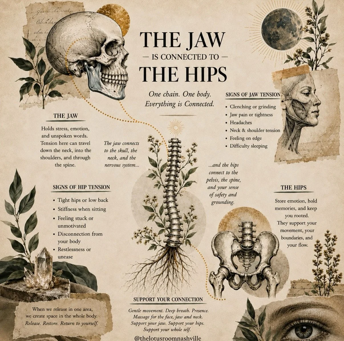 Everyone&rsquo;s talking about posture, stretching, mobility&hellip;but honestly, sometimes the place that feels tight isn&rsquo;t where the story begins.

Jaw always clenched? Neck and shoulders constantly tight? Hips that never quite seem to let go