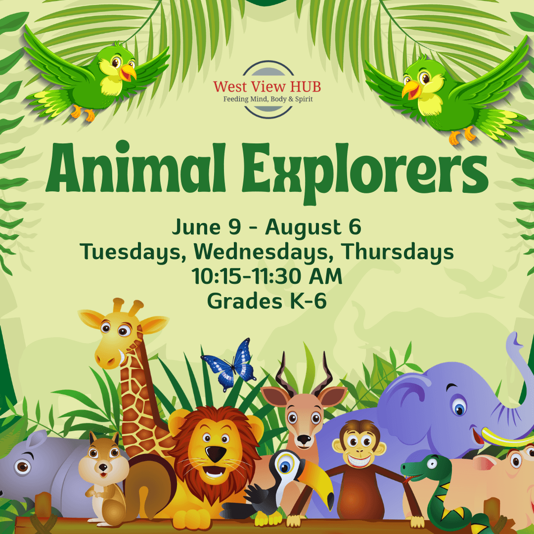 Animal Explorers Camp