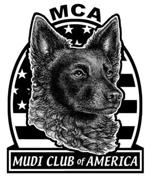 Mudi Club Of America