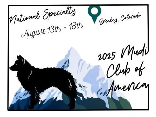 2025 Mudi Club of America National Specialty