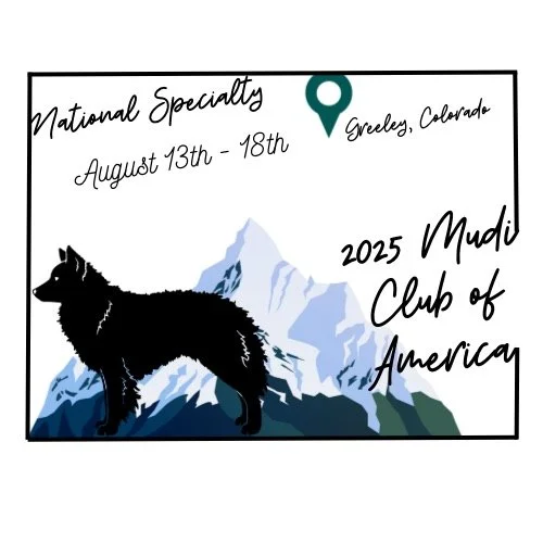 2025 MCA National Specialty