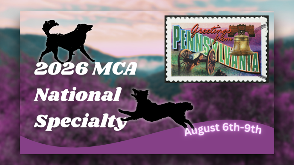 2026 MCA NATIONAL SPECIALTY