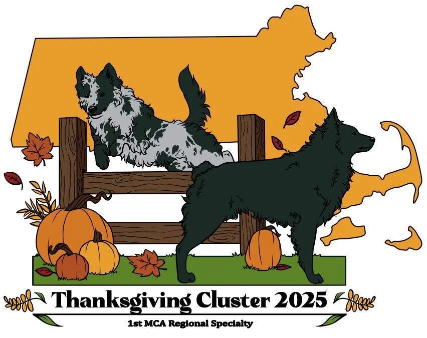 1st MCA Regional Specialty