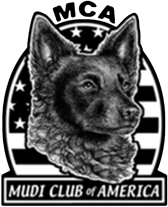 Mudi Club Of America