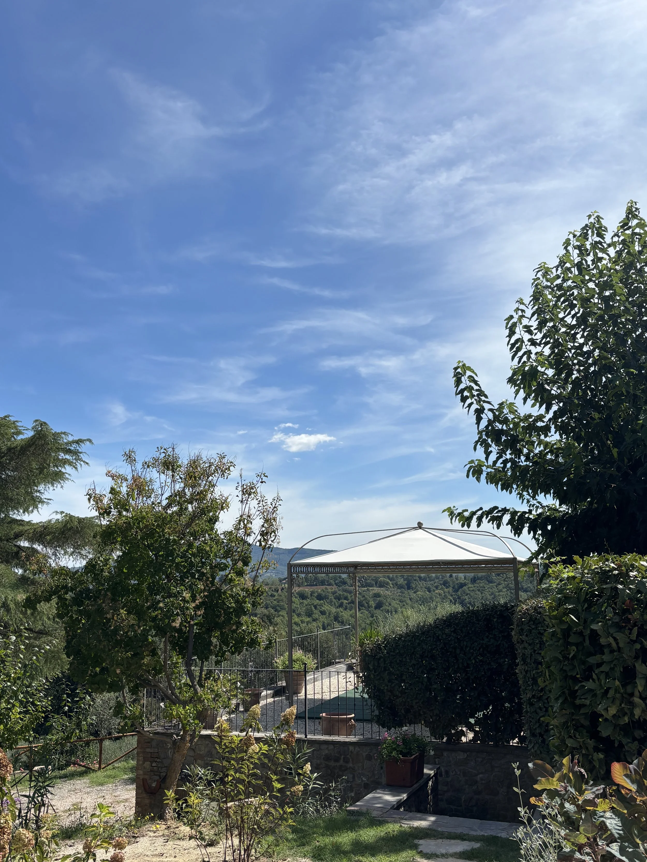 IMG_4363.jpeg