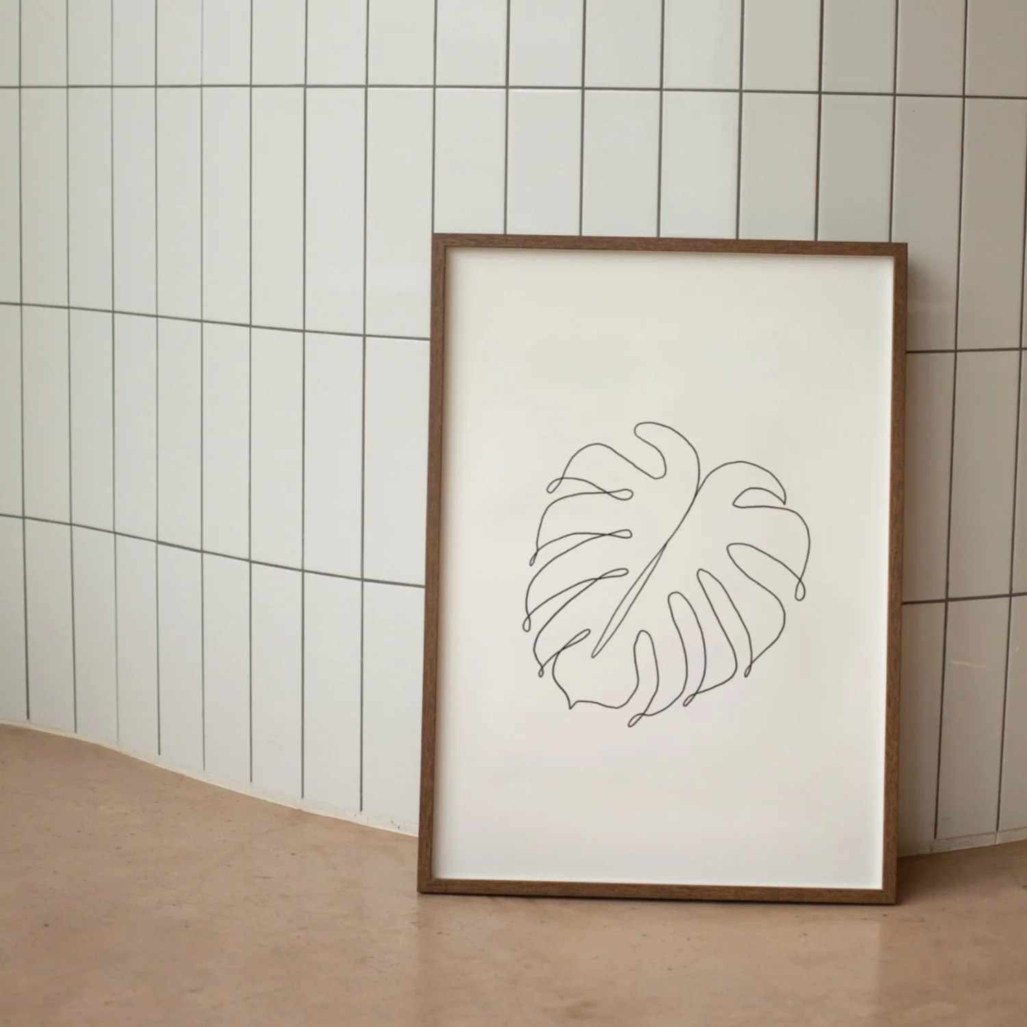 monstera stange Monstera Variegata Steckling main image 0