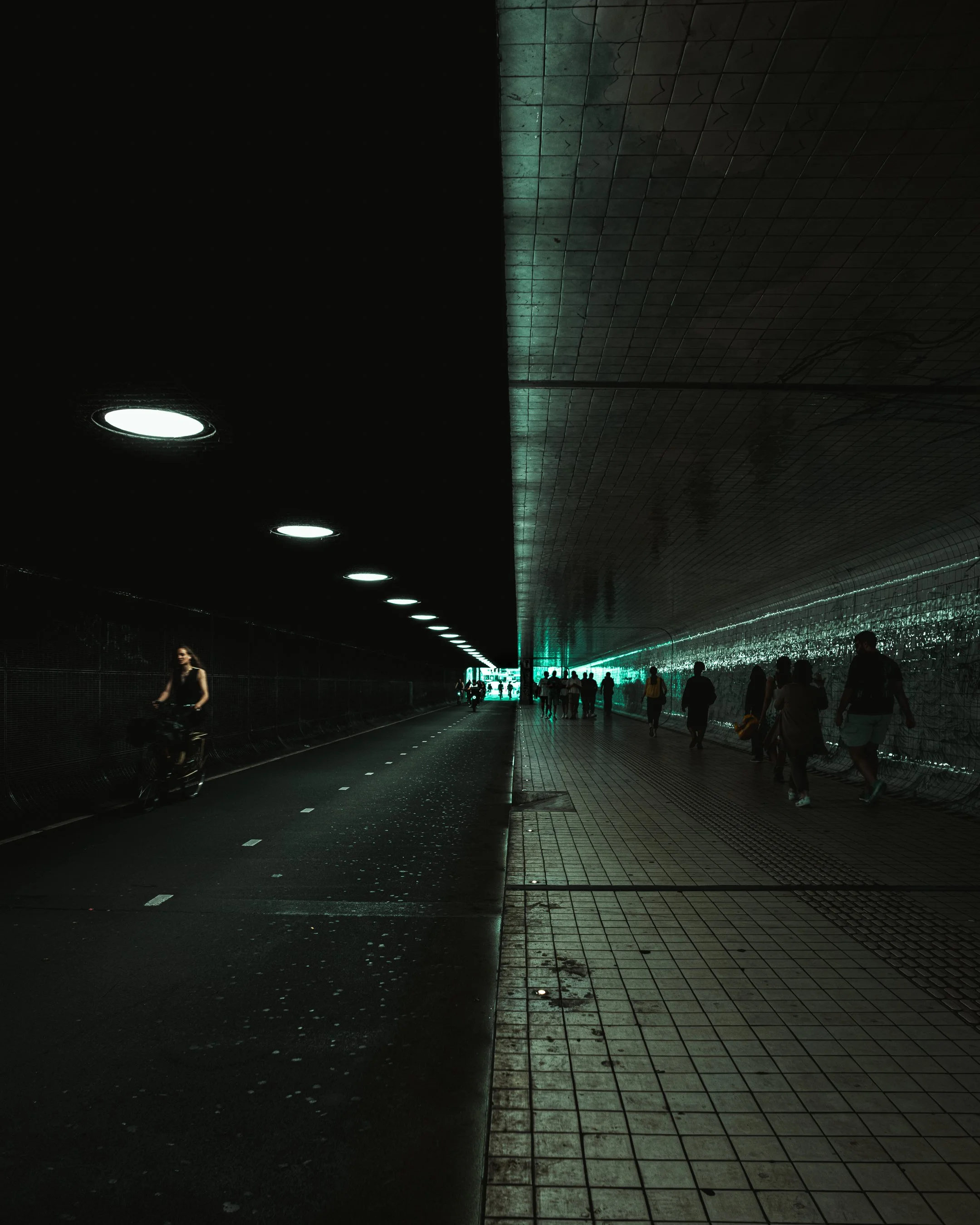 week-31-8.jpg