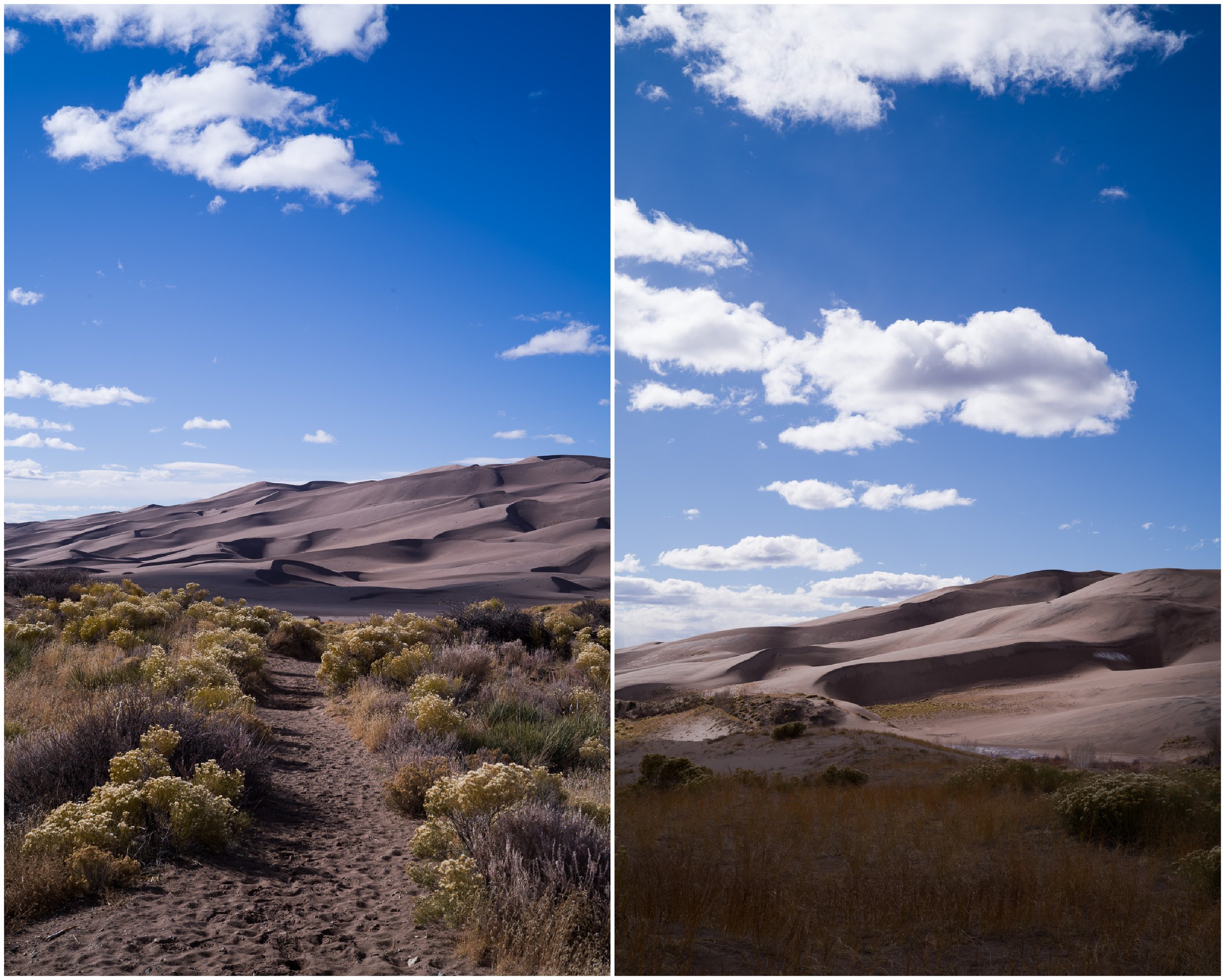 Sand Dunes-2.jpg