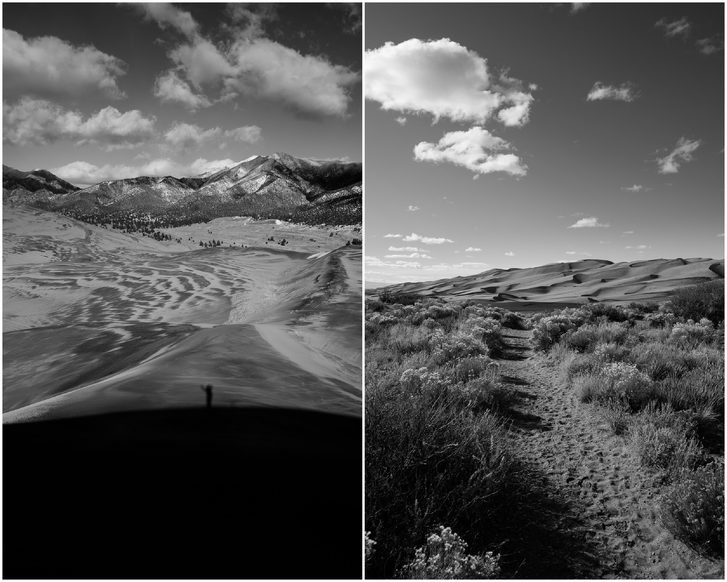 Sand Dunes-13.jpg