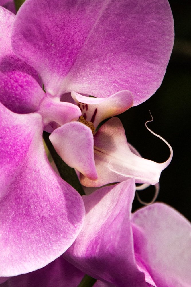 20160228 20160228 IMG_8762.jpg