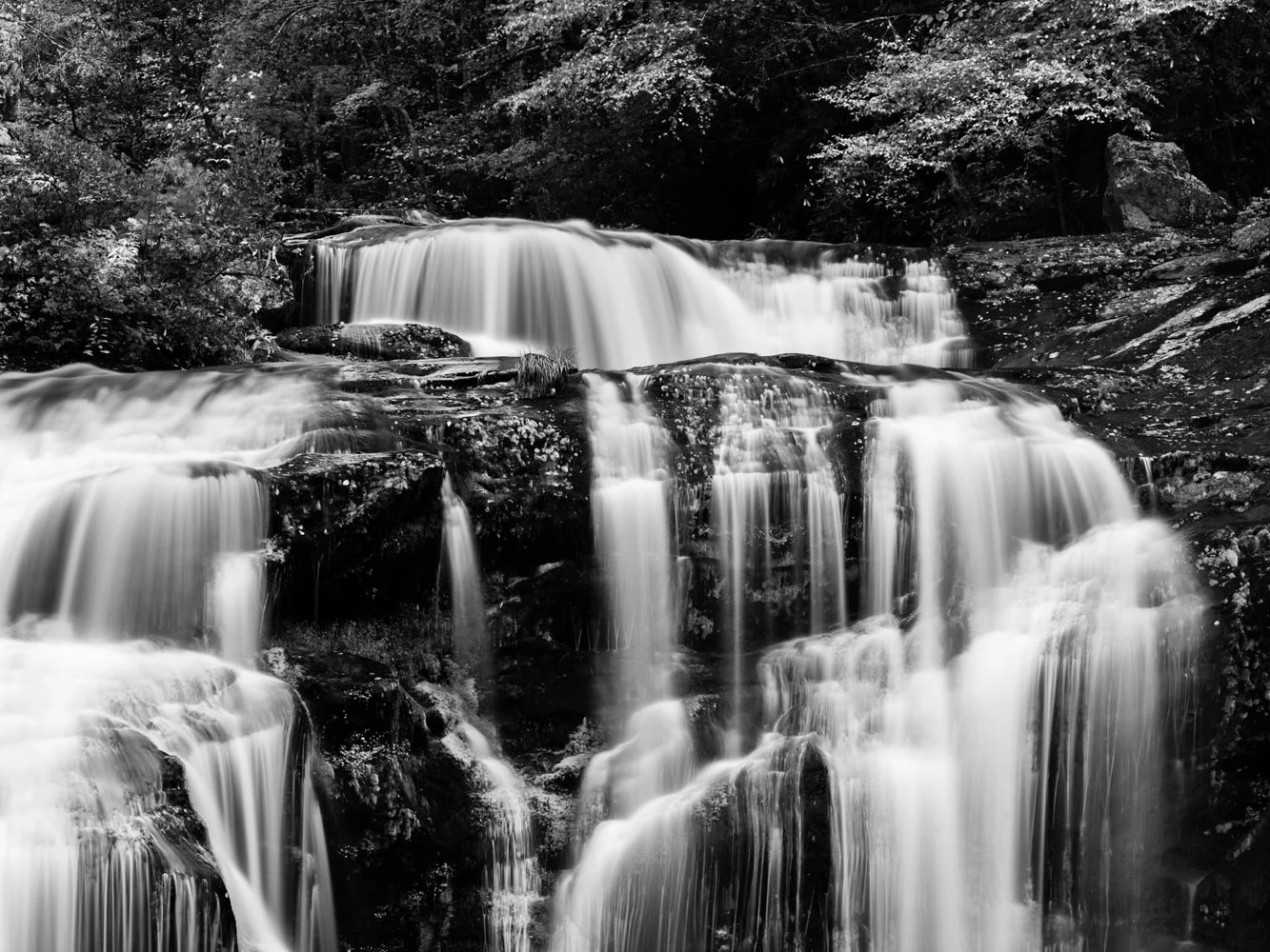 20151013 20151013 IMG_8241.jpg