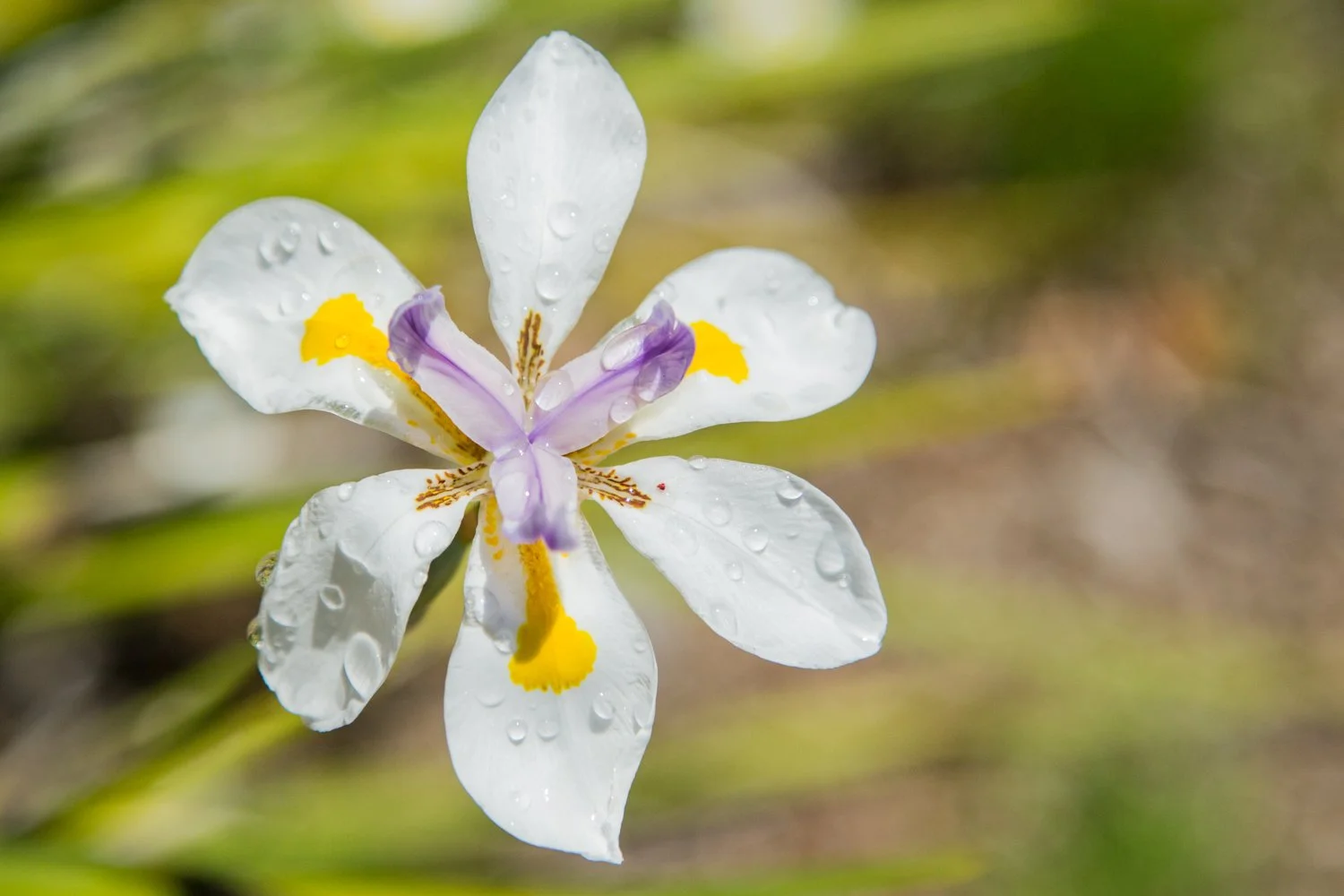 20160414 20160414 IMG_9695.jpg