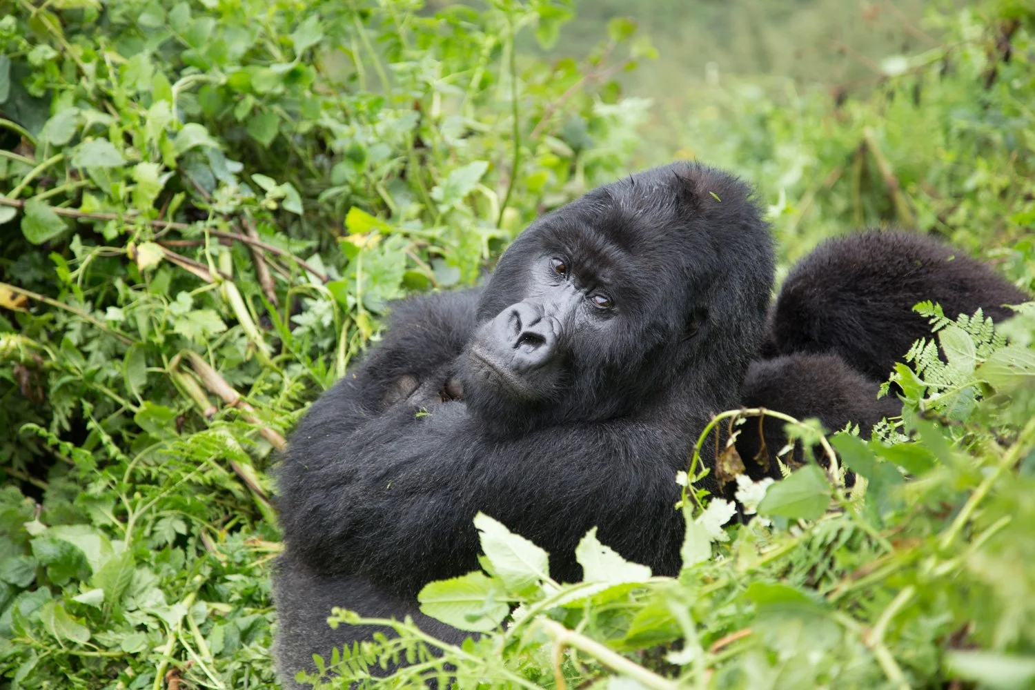 20160501 20160501 IMG_0424.jpg