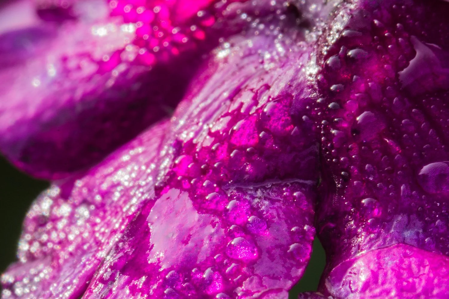 20150719 20150719 IMG_7607.jpg