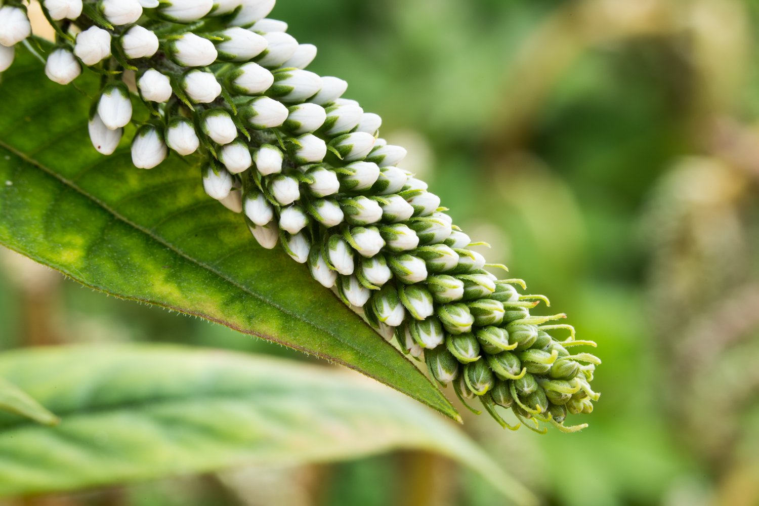 20150705 20150705 IMG_7307.jpg